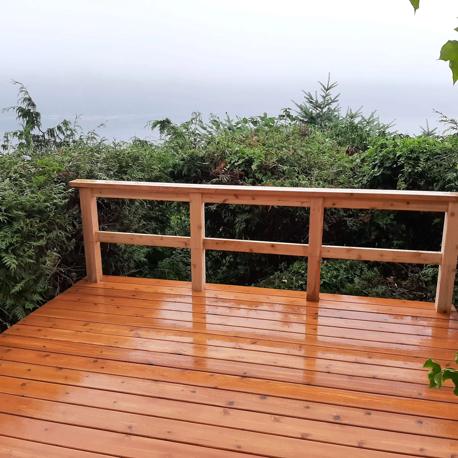 A finished deck with a timber railing overlooking trees